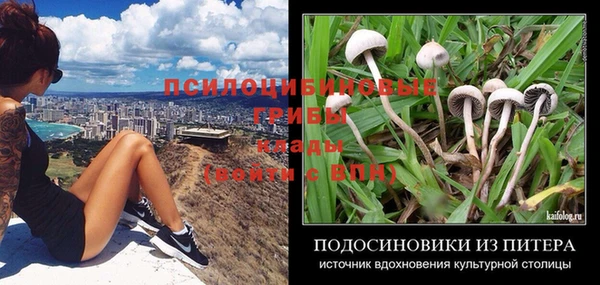 ПСИЛОЦИБИНОВЫЕ ГРИБЫ Протвино